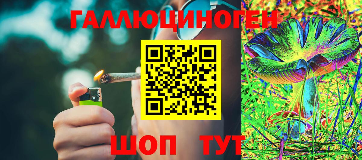 Саяногорск  Псилоцибиновые грибы MAGIC MUSHROOMS  Галлюциногенные грибы мицелий  Вход с VPN 